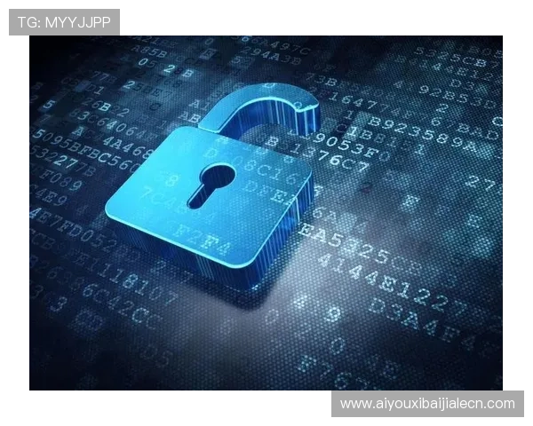 百家博娱乐技术保障措施,确保玩家资金与个人信息安全无忧